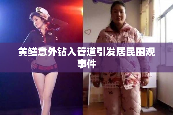 黄鳝意外钻入管道引发居民围观事件