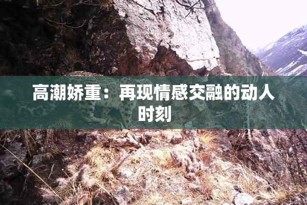 高潮娇重：再现情感交融的动人时刻