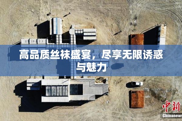 高品质丝袜盛宴，尽享无限诱惑与魅力