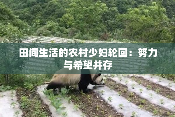 田间生活的农村少妇轮回：努力与希望并存