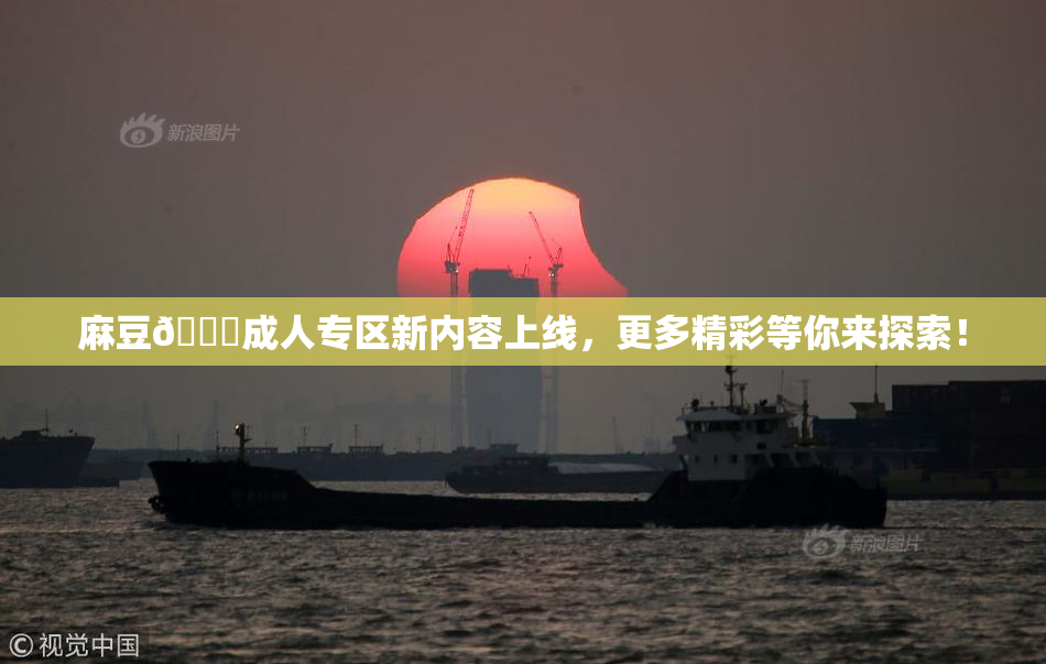 麻豆🔞成人专区新内容上线，更多精彩等你来探索！