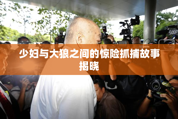 少妇与大狼之间的惊险抓捕故事揭晓