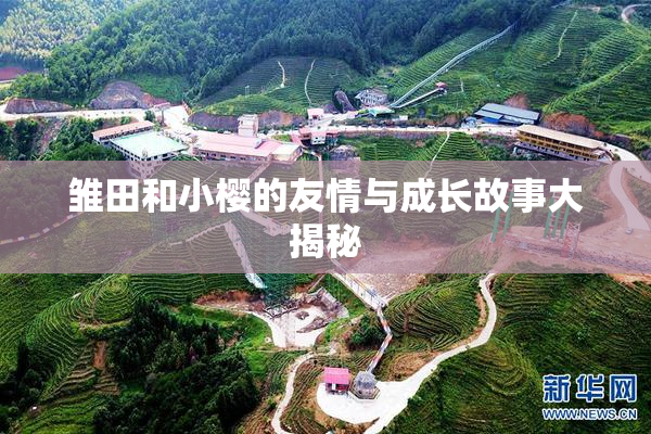 雏田和小樱的友情与成长故事大揭秘