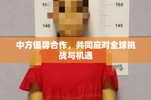 中方倡导合作，共同应对全球挑战与机遇
