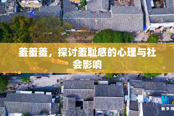 羞羞羞，探讨羞耻感的心理与社会影响