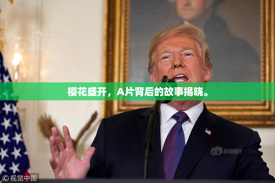 樱花盛开，A片背后的故事揭晓。
