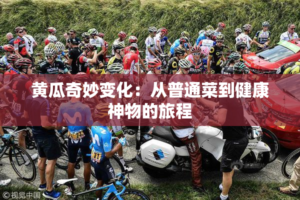 黄瓜奇妙变化：从普通菜到健康神物的旅程
