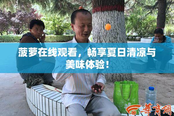 菠萝在线观看，畅享夏日清凉与美味体验！