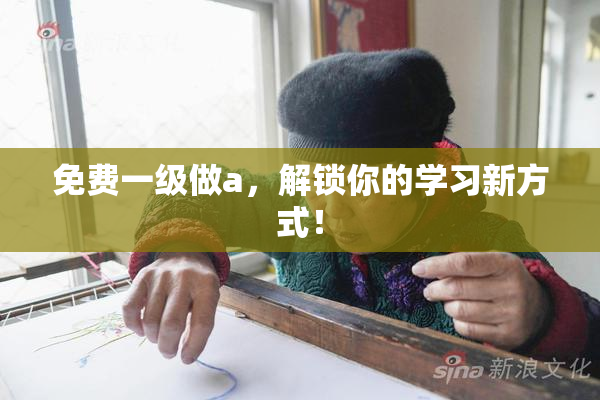免费一级做a，解锁你的学习新方式！