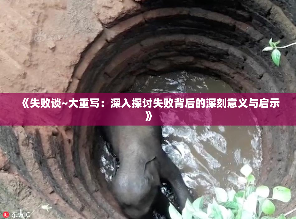 《失败谈~大重写：深入探讨失败背后的深刻意义与启示》