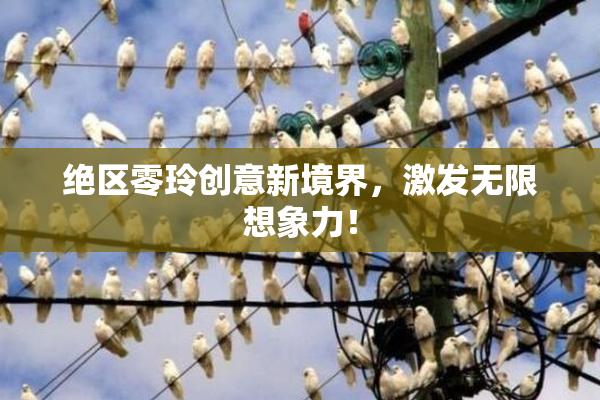 绝区零玲创意新境界，激发无限想象力！
