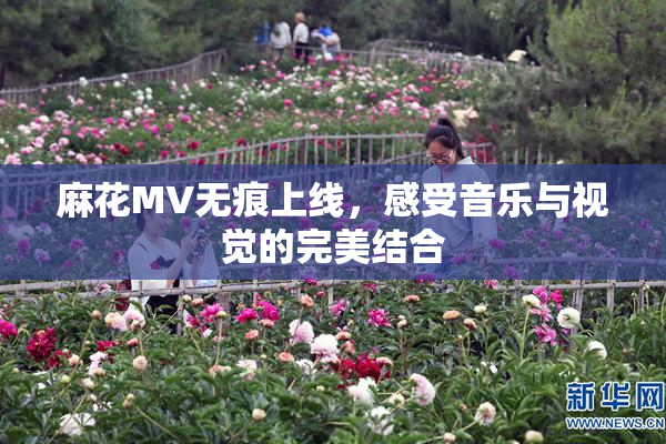 麻花MV无痕上线，感受音乐与视觉的完美结合