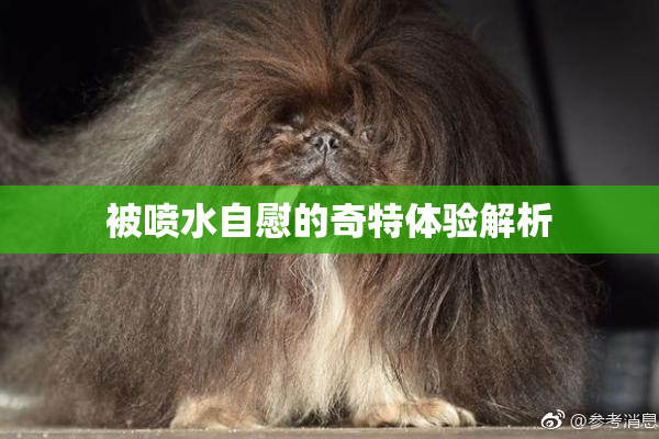 被喷水自慰的奇特体验解析