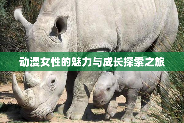 动漫女性的魅力与成长探索之旅