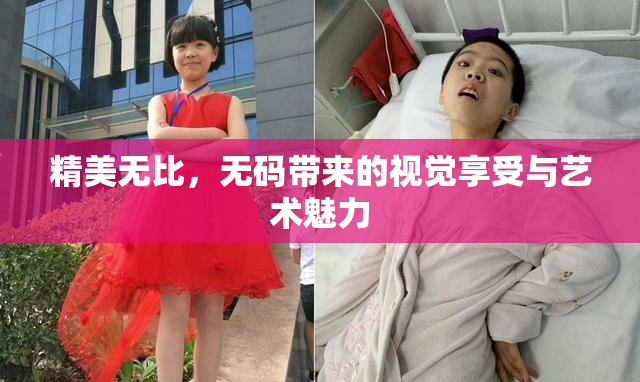 精美无比，无码带来的视觉享受与艺术魅力
