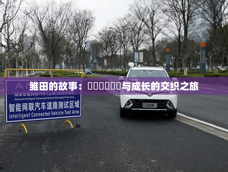 雏田的故事：❌‌❌‌❌‌与成长的交织之旅