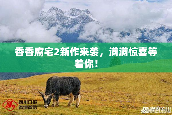 香香腐宅2新作来袭，满满惊喜等着你！