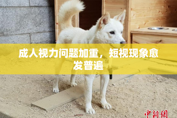 成人视力问题加重，短视现象愈发普遍