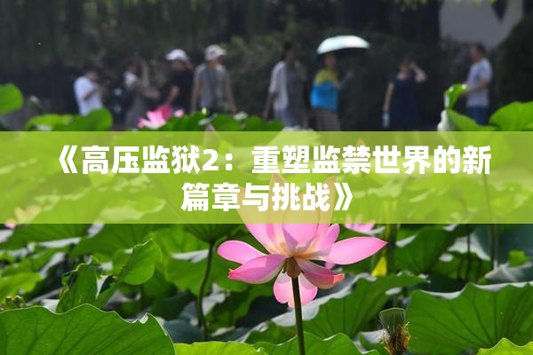 《高压监狱2：重塑监禁世界的新篇章与挑战》