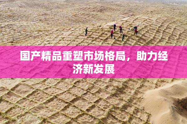 国产精品重塑市场格局，助力经济新发展