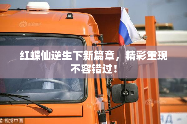 红蝶仙逆生下新篇章，精彩重现不容错过！