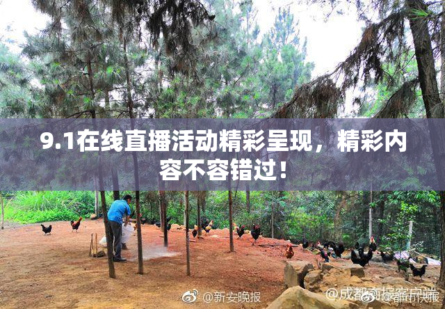 9.1在线直播活动精彩呈现，精彩内容不容错过！