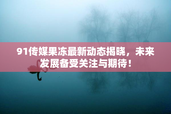 91传媒果冻最新动态揭晓，未来发展备受关注与期待！