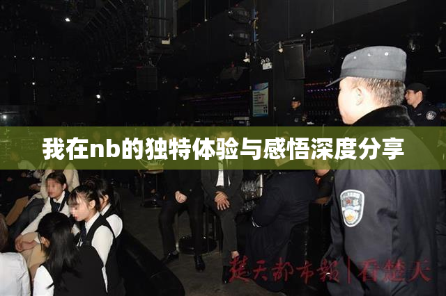 我在nb的独特体验与感悟深度分享