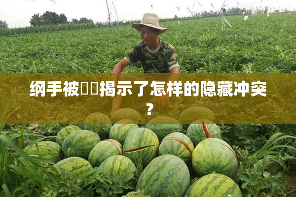 纲手被❌‌揭示了怎样的隐藏冲突？