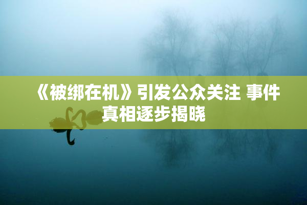 《被绑在机》引发公众关注 事件真相逐步揭晓
