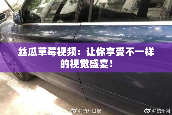 丝瓜草莓视频：让你享受不一样的视觉盛宴！