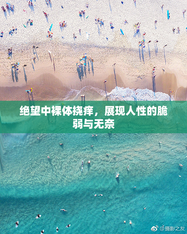 绝望中裸体挠痒，展现人性的脆弱与无奈