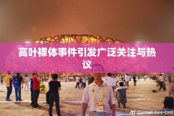 高叶裸体事件引发广泛关注与热议