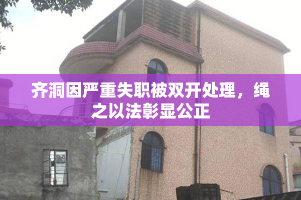 齐洞因严重失职被双开处理，绳之以法彰显公正