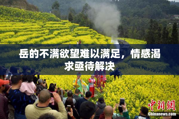 岳的不满欲望难以满足，情感渴求亟待解决