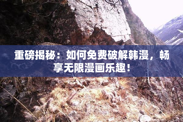 重磅揭秘：如何免费破解韩漫，畅享无限漫画乐趣！