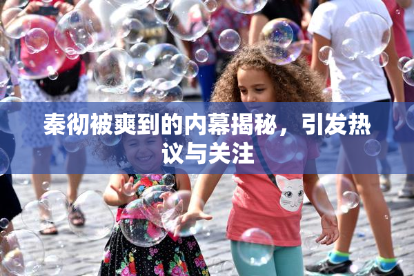 秦彻被爽到的内幕揭秘，引发热议与关注