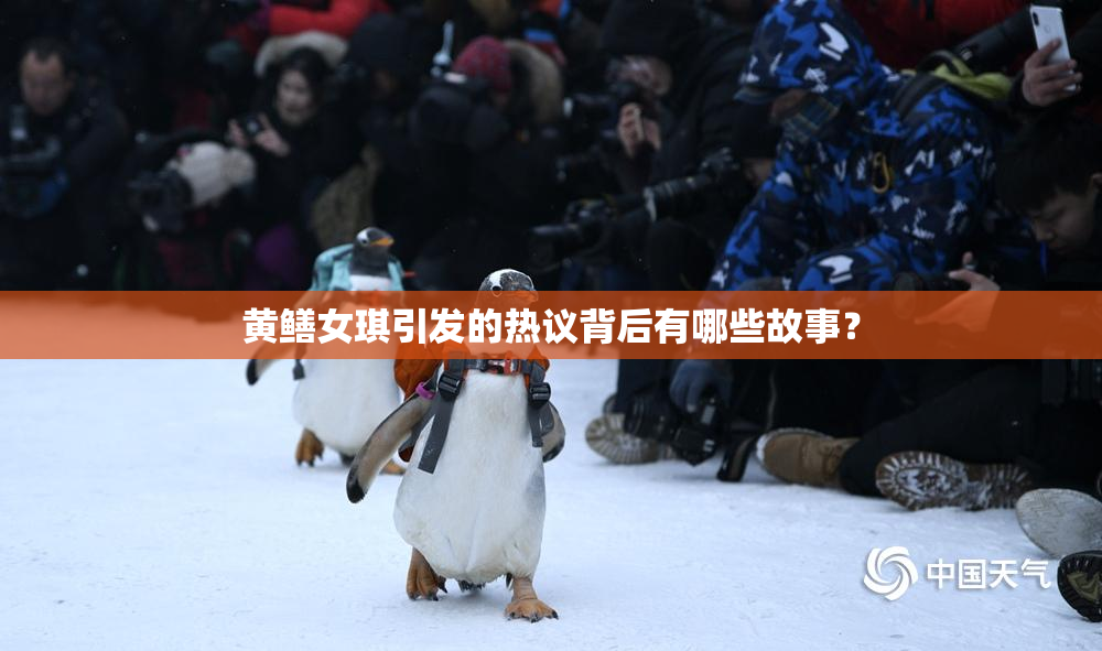 黄鳝女琪引发的热议背后有哪些故事？