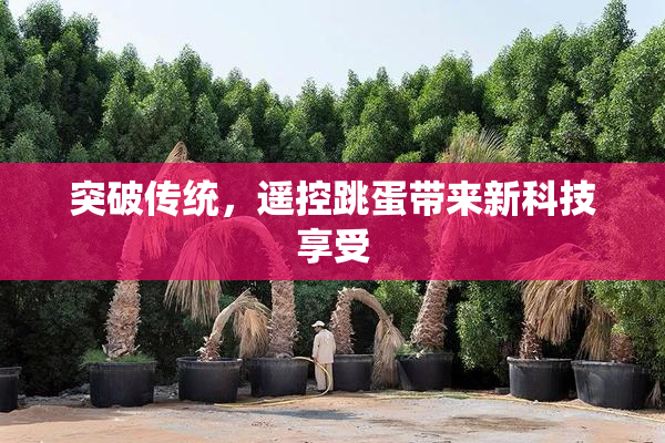 突破传统，遥控跳蛋带来新科技享受