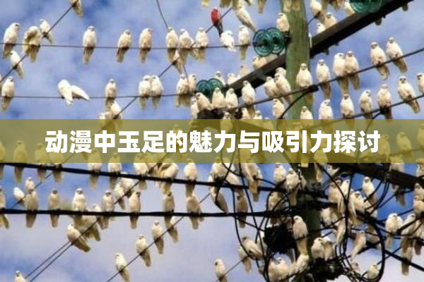 动漫中玉足的魅力与吸引力探讨