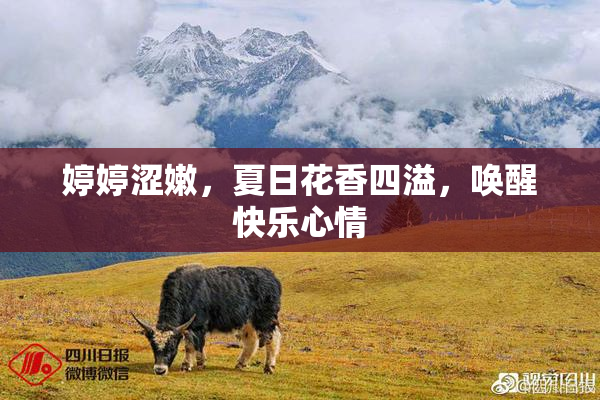 婷婷涩嫩，夏日花香四溢，唤醒快乐心情