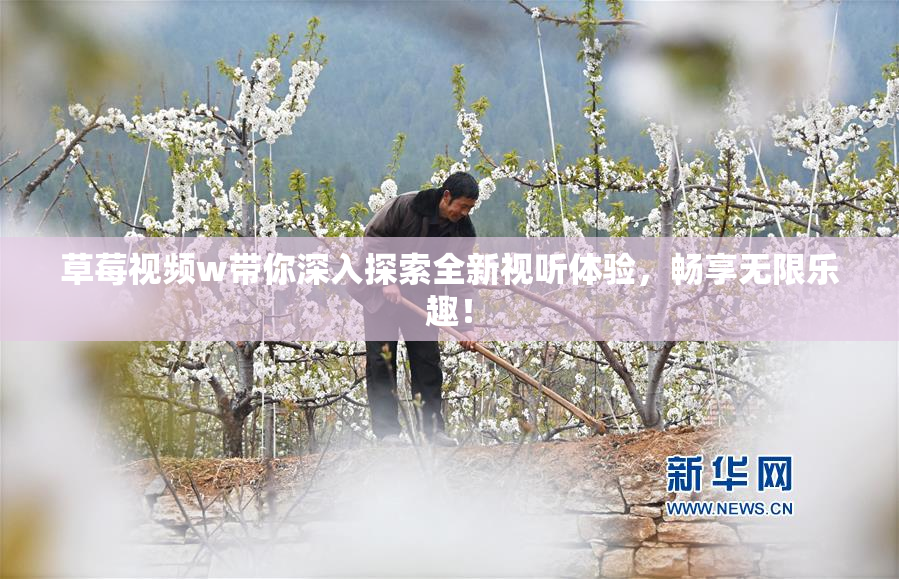 草莓视频w带你深入探索全新视听体验，畅享无限乐趣！