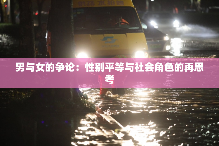 男与女的争论：性别平等与社会角色的再思考