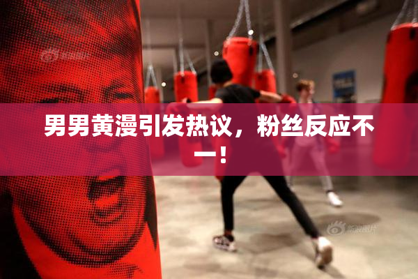男男黄漫引发热议，粉丝反应不一！