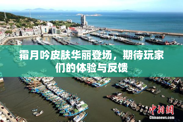 霜月吟皮肤华丽登场，期待玩家们的体验与反馈