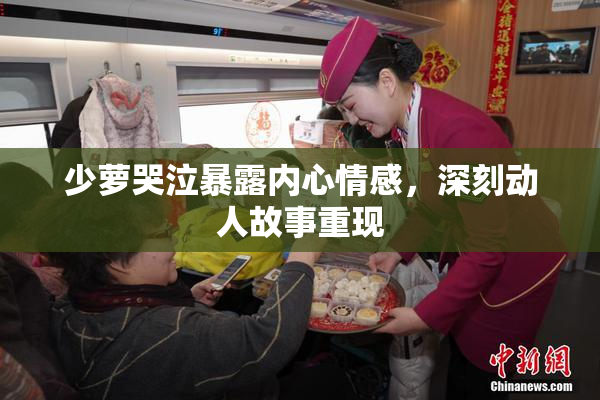 少萝哭泣暴露内心情感，深刻动人故事重现