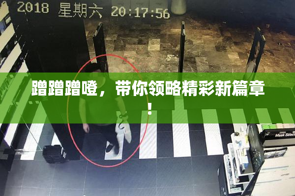 蹭蹭蹭噔，带你领略精彩新篇章！