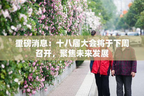 重磅消息：十八届大会将于下周召开，聚焦未来发展