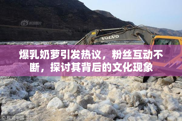 爆乳奶萝引发热议，粉丝互动不断，探讨其背后的文化现象