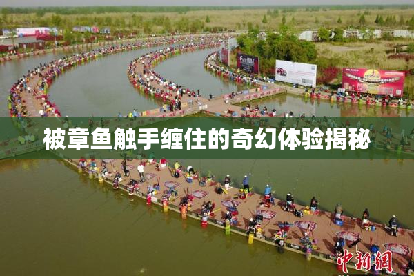 被章鱼触手缠住的奇幻体验揭秘
